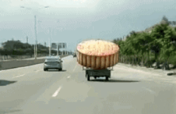 【唐樂宮】百因必有果，你愛吃的月餅就是我！(圖1)